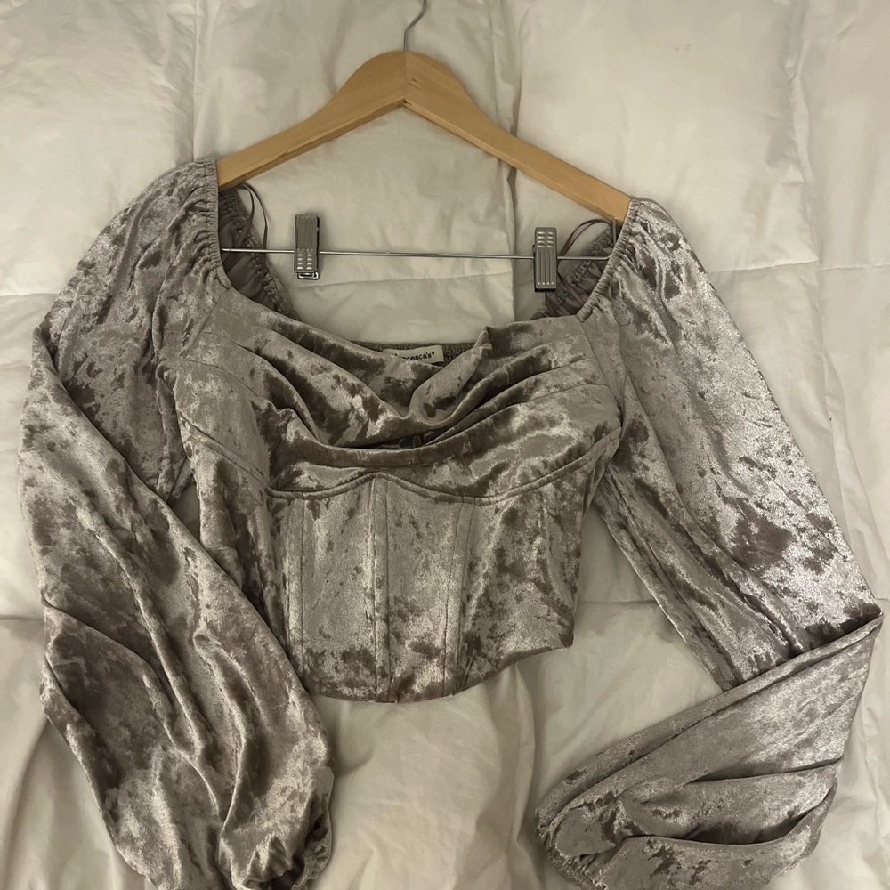 Francesca's Collections Silver Velvet Blouse